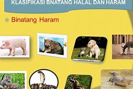 Daging Yang Haram Dalam Islam