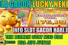 Lucky Neko Hari Ini